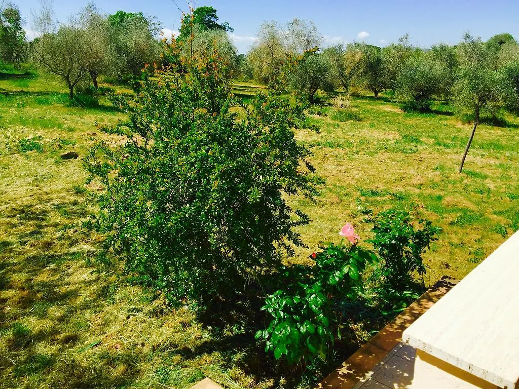 Maremma Nel Tufo Konuk evi Pitigliano 0*,  İtalya