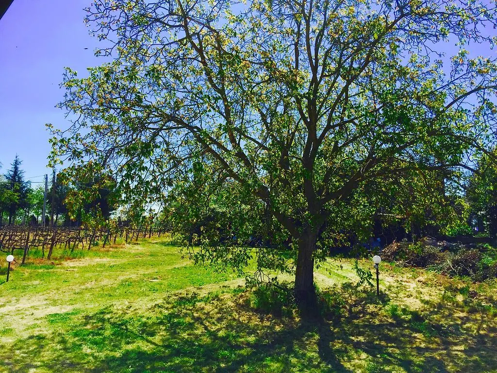 Country house Maremma Nel Tufo