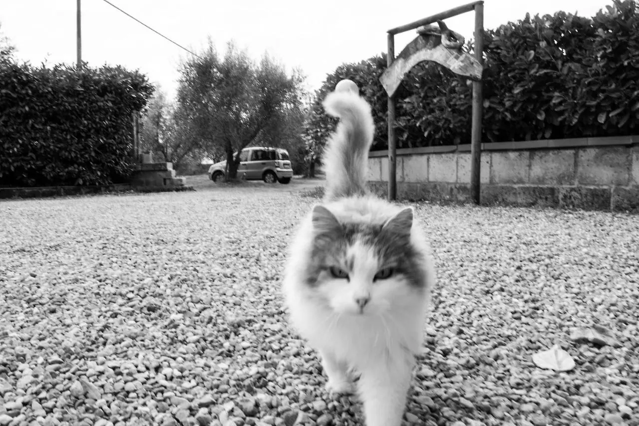 Maremma Nel Tufo Country house